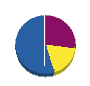 大野電気 貸借対照表 2011年11月期
