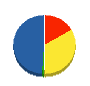 ティー・エム・サービス 貸借対照表 2010年6月期