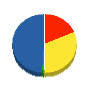 玉城電気設備 貸借対照表 2010年6月期