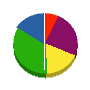 シティーコンダクト 貸借対照表 2010年12月期