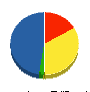 彩光建設 貸借対照表 2010年12月期