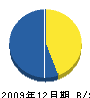 西川建工 貸借対照表 2009年12月期