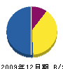 松崎鐵工 貸借対照表 2009年12月期