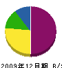 山祥電設 貸借対照表 2009年12月期