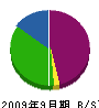 フジイ 貸借対照表 2009年9月期 フジイ 貸借対照表 2009年9月期
