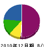 早川造園 貸借対照表 2010年12月期