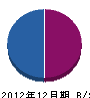 鹿島電機 貸借対照表 2012年12月期