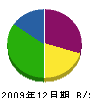 溝上建設 貸借対照表 2009年12月期