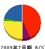 片倉工務店 貸借対照表 2009年7月期