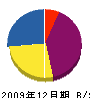 村井塗装店 貸借対照表 2009年12月期