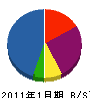 日本チッタ 貸借対照表 2011年1月期