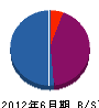 松井電気 貸借対照表 2012年6月期