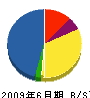 浦和正光園 貸借対照表 2009年6月期