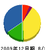 渡辺建業 貸借対照表 2009年12月期