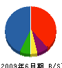 神奈川建商 貸借対照表 2009年6月期 神奈川建商 貸借対照表 2009年6月期