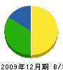 沖島建設 貸借対照表 2009年12月期