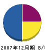 柴田造園 貸借対照表 2007年12月期