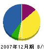 櫻井塗装店 貸借対照表 2007年12月期