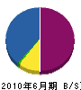 太田 貸借対照表 2010年6月期