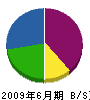 橋山塗装店 貸借対照表 2009年6月期