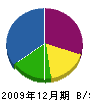 新和設備工業 貸借対照表 2009年12月期