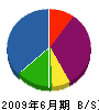 椛澤土木 貸借対照表 2009年6月期