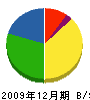 ヒカリ電業所 貸借対照表 2009年12月期