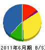 日本グリーンシステム 貸借対照表 2011年6月期