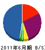 Ｅ・Ｂ・Ｓ 貸借対照表 2011年6月期