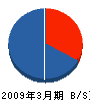 桐南緑化 貸借対照表 2009年3月期