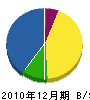 片山組 貸借対照表 2010年12月期
