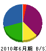 堀江電設 貸借対照表 2010年6月期