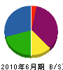 堀江電設 貸借対照表 2010年6月期 堀江電設 貸借対照表 2010年6月期