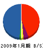 ハヤシダ 貸借対照表 2009年1月期