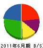 碓井電気商会 貸借対照表 2011年6月期