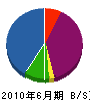 トラストジャパン 貸借対照表 2010年6月期