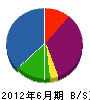 桃坂工業 貸借対照表 2012年6月期