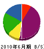 青井グリーン 貸借対照表 2010年6月期