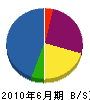 沖縄ペイント 貸借対照表 2010年6月期