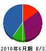 桃坂工業 貸借対照表 2010年6月期