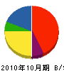 サンニ産業 貸借対照表 2010年10月期