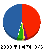 山田エンジニアリングサービス 貸借対照表 2009年1月期