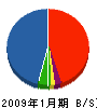 山田エンジニアリングサービス 貸借対照表 2009年1月期 山田エンジニアリングサービス 貸借対照表 2009年1月期