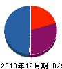 松江電通 貸借対照表 2010年12月期