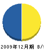 星塗装店 貸借対照表 2009年12月期