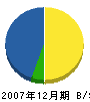 宝塚水道工業所 貸借対照表 2007年12月期