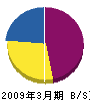 石塚電機商会 貸借対照表 2009年3月期