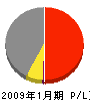 塚原石産興業 損益計算書 2009年1月期