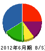 塩田塗装工業 貸借対照表 2012年6月期
