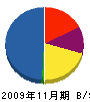 井村電設 貸借対照表 2009年11月期